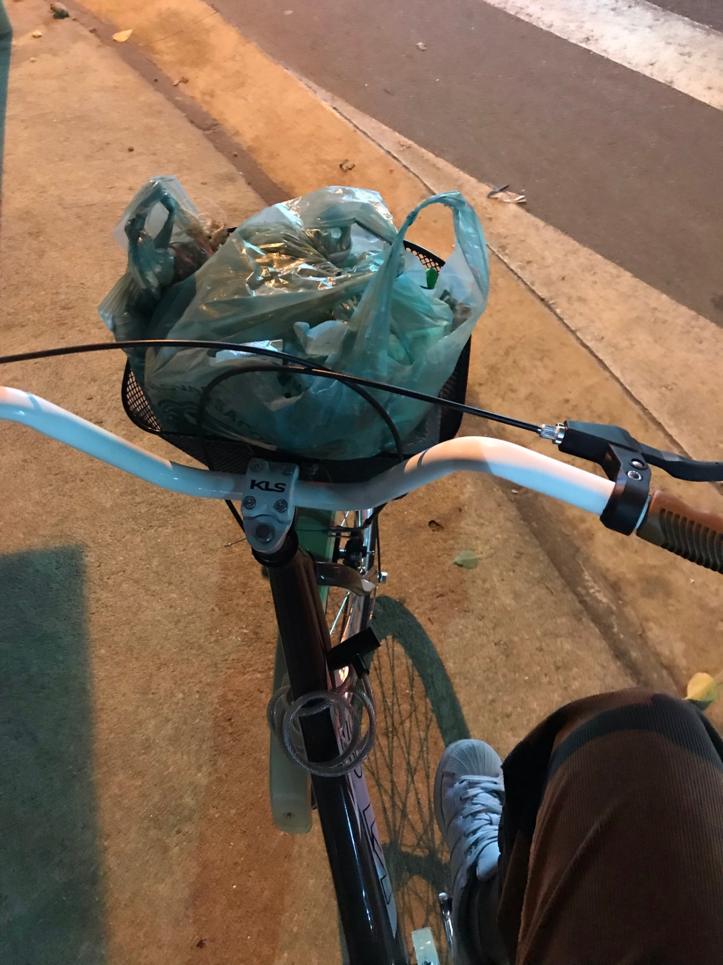 cesta · volta pra casa